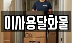 대전광역시 동구 세천동 이사,용달이사,포장이사,원룸이사,보관이사