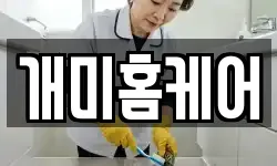 개미홈케어