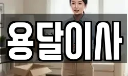 용달이사