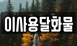 이사용달화물