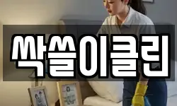 싹쓸이클린