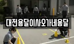 대전용달이사오가네용달