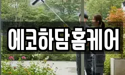 에코하담홈케어
