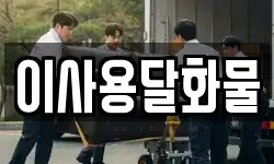 대전광역시 동구 이사동 이사,용달이사,포장이사,원룸이사,보관이사