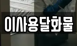 이사용달화물
