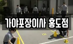 가야포장이사 홍도점
