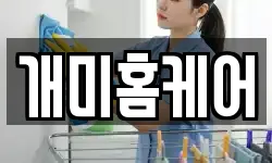 개미홈케어