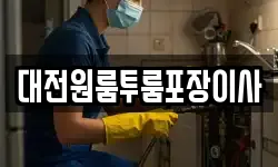 대전원룸투룸포장이사