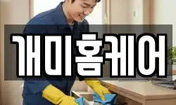 개미홈케어