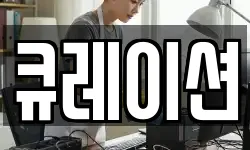 큐레이션