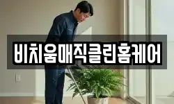 대전광역시 동구 천동 청소,입주청소,사무실청소,에어컨청소