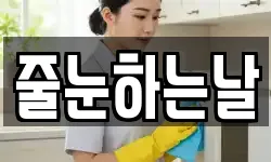 줄눈하는날