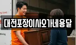 대전포장이사오가네용달