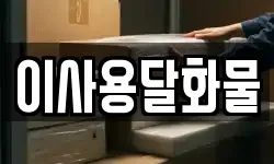 이사용달화물