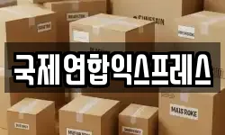 국제연합익스프레스