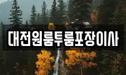 대전원룸투룸포장이사