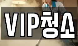 VIP청소