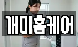 개미홈케어