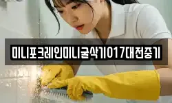 미니포크레인미니굴삭기017대전중기