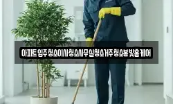 아파트입주청소이사청소사무실청소거주청소봄빛홈케어
