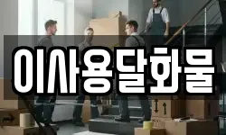 대전광역시 동구 효평동 이사,용달이사,포장이사,원룸이사,보관이사