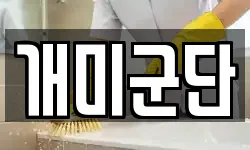 개미군단