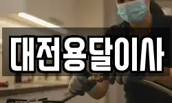 대전용달이사