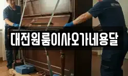 대전원룸이사오가네용달