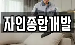 자인종합개발