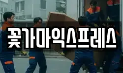 꽃가마익스프레스