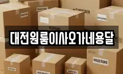 대전원룸이사오가네용달