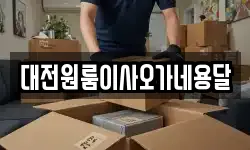대전원룸이사오가네용달