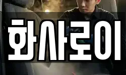 화사로이