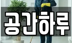 대전광역시 서구 내동 청소,입주청소,사무실청소,에어컨청소
