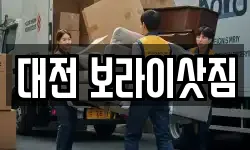 대전 보라이삿짐