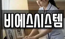 비에스시스템