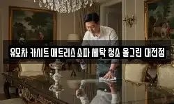 유모차 카시트 매트리스 소파 세탁 청소 올그린 대전점