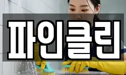 파인클린