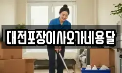 대전포장이사오가네용달