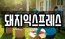 돼지익스프레스