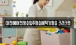 대전에어컨청소입주청소세탁기청소 크리크린