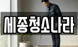 세종청소나라