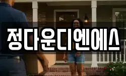 정다운디엔에스