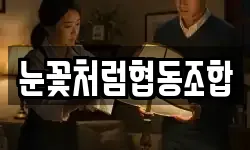 대전광역시 서구 변동 청소,입주청소,사무실청소,에어컨청소