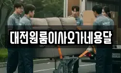 대전원룸이사오가네용달