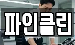 파인클린