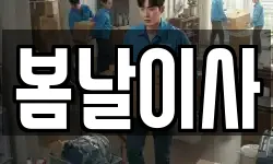 대전광역시 서구 이사,용달이사,포장이사,원룸이사,보관이사
