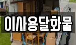 이사용달화물