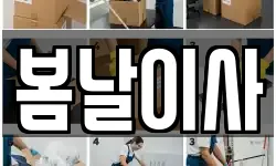 대전광역시 서구 정림동 이사,용달이사,포장이사,원룸이사,보관이사