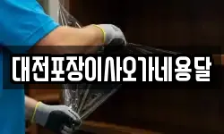 대전포장이사오가네용달